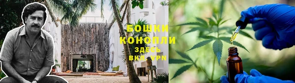 метадон Рославль