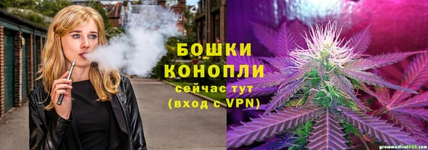 крисы Аркадак