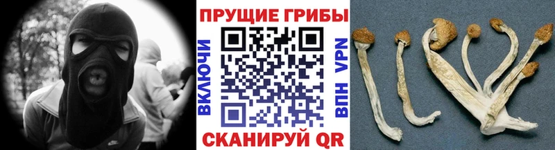 Галлюциногенные грибы мухоморы  как найти закладки  Валдай 